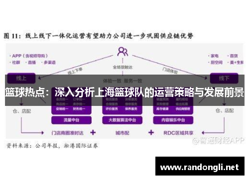 篮球热点：深入分析上海篮球队的运营策略与发展前景